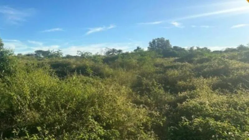 Rua Endereço somente para premium, N°0