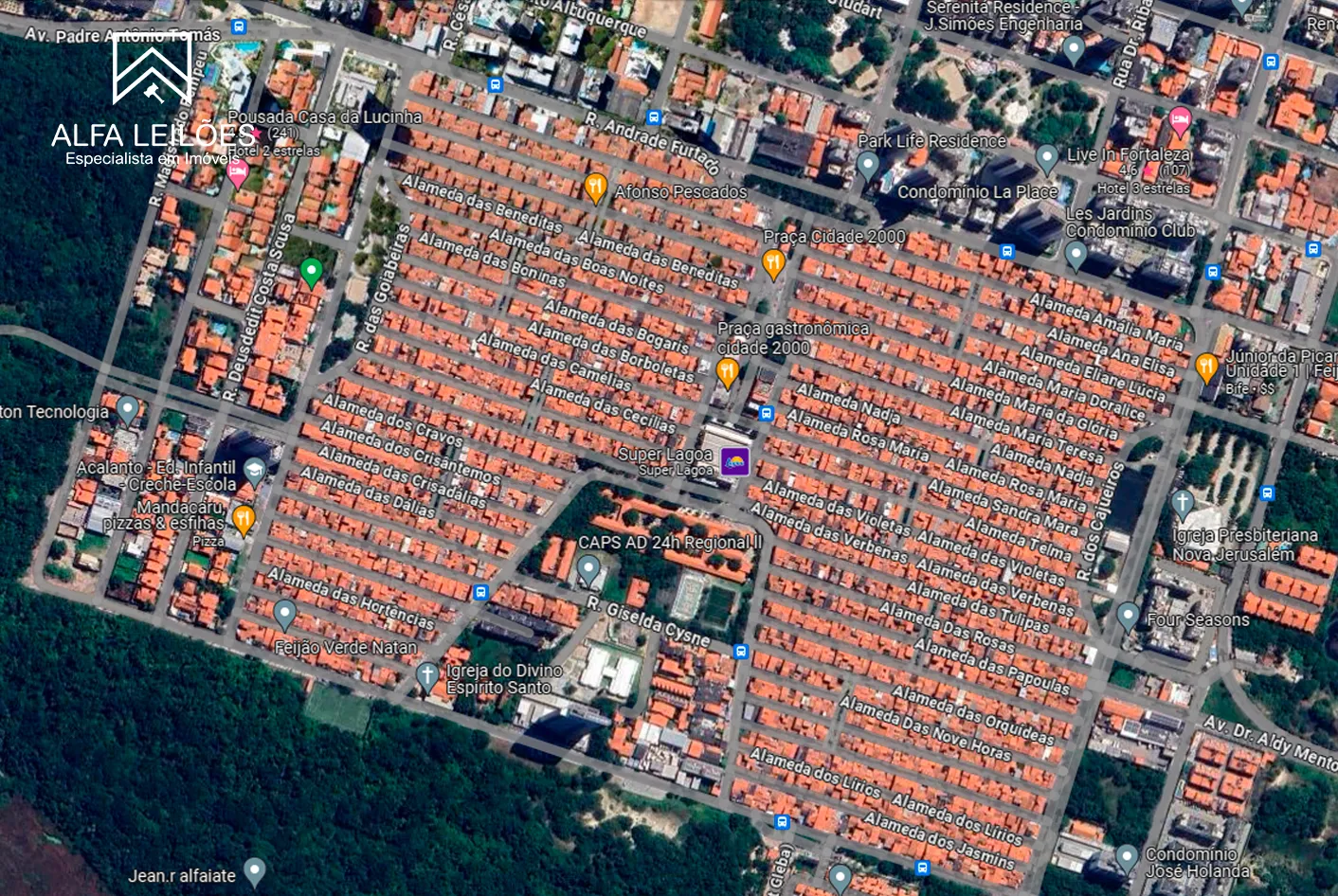 ALAMEDA ROSA MARIA, 99