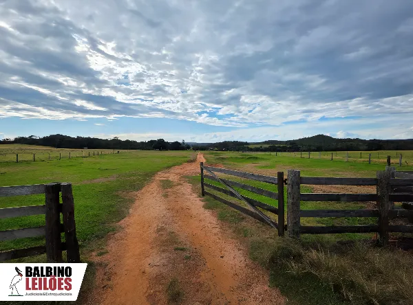 Rua Endereço somente para premium, N°0