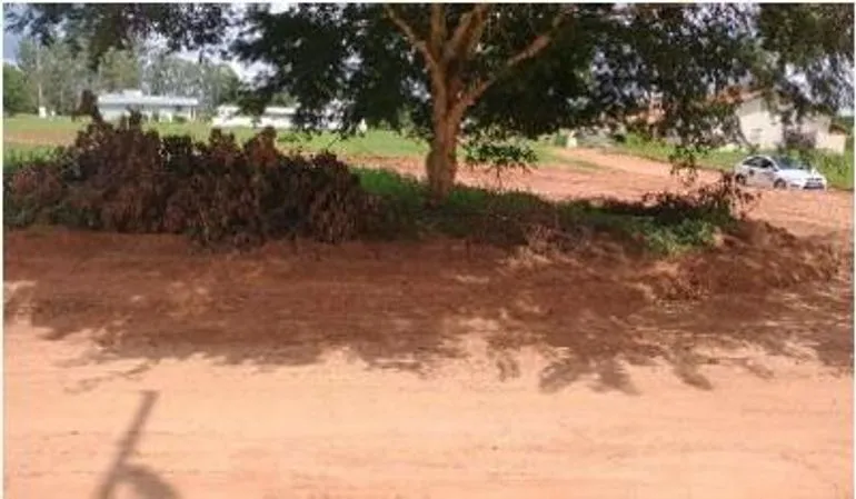 Rua Endereço somente para premium, N°0