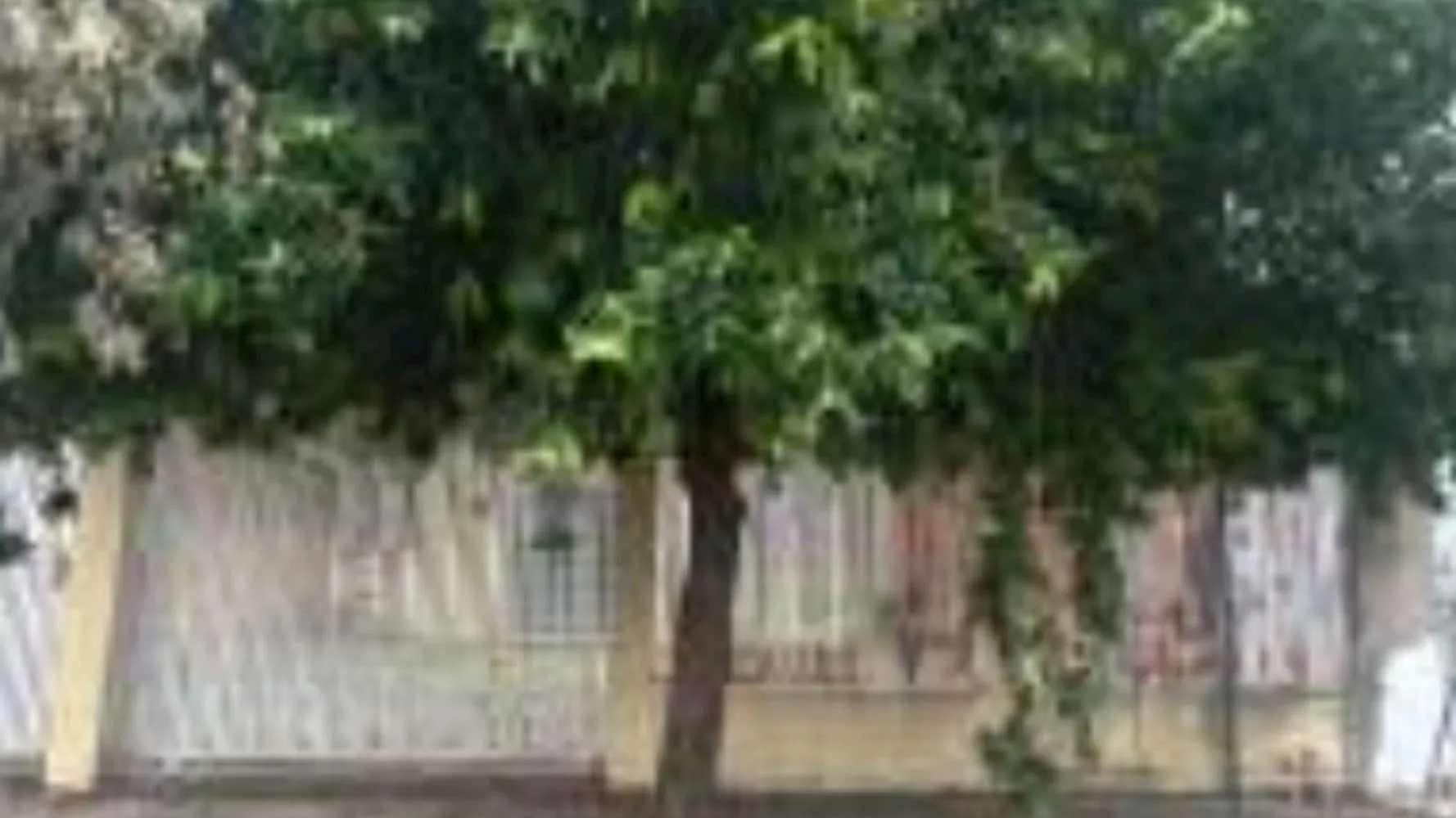 Rua Endereço somente para premium, N°0