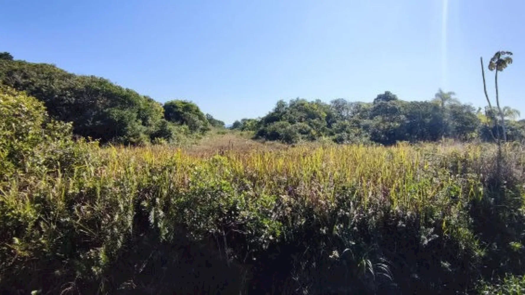 Rua Endereço somente para premium, N°0
