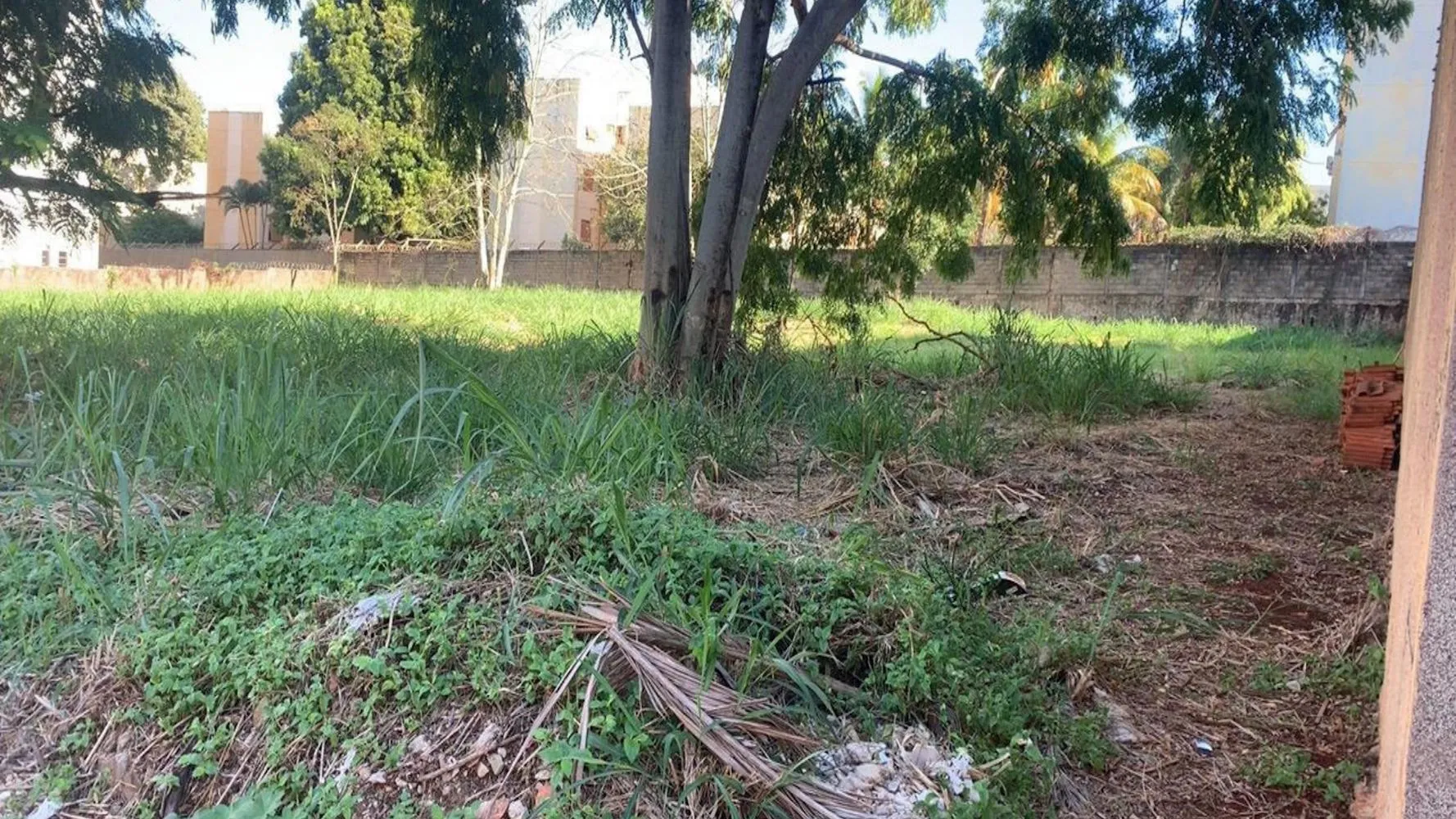 Rua Endereço somente para premium, N°0