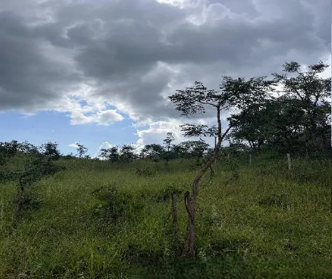 Rua Endereço somente para premium, N°0