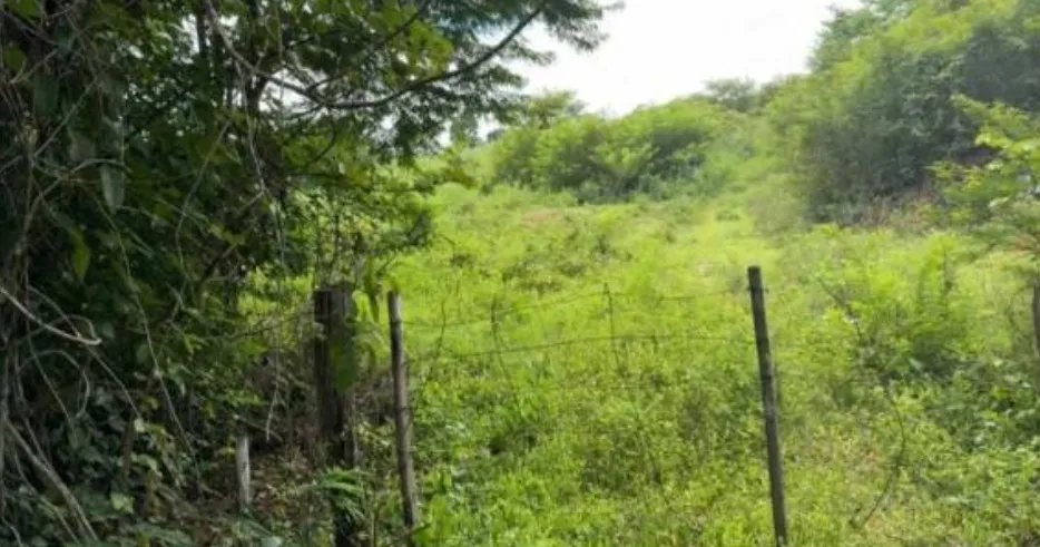 Rua Endereço somente para premium, N°0