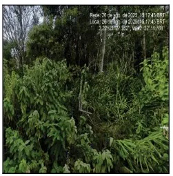 Rua Endereço somente para premium, N°0