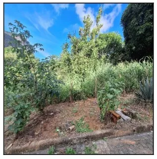 Rua Endereço somente para premium, N°0