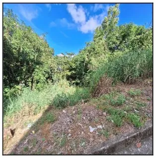 Rua Endereço somente para premium, N°0