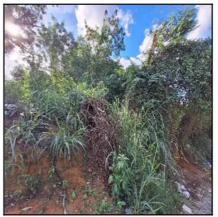 Rua Endereço somente para premium, N°0