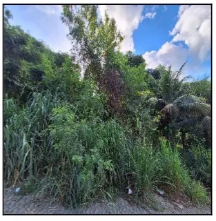 Rua Endereço somente para premium, N°0