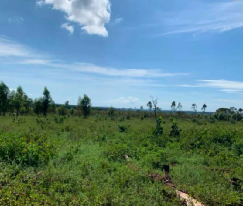 Rua Endereço somente para premium, N°0