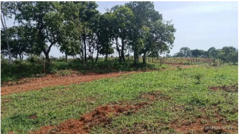 Rua Endereço somente para premium, N°0