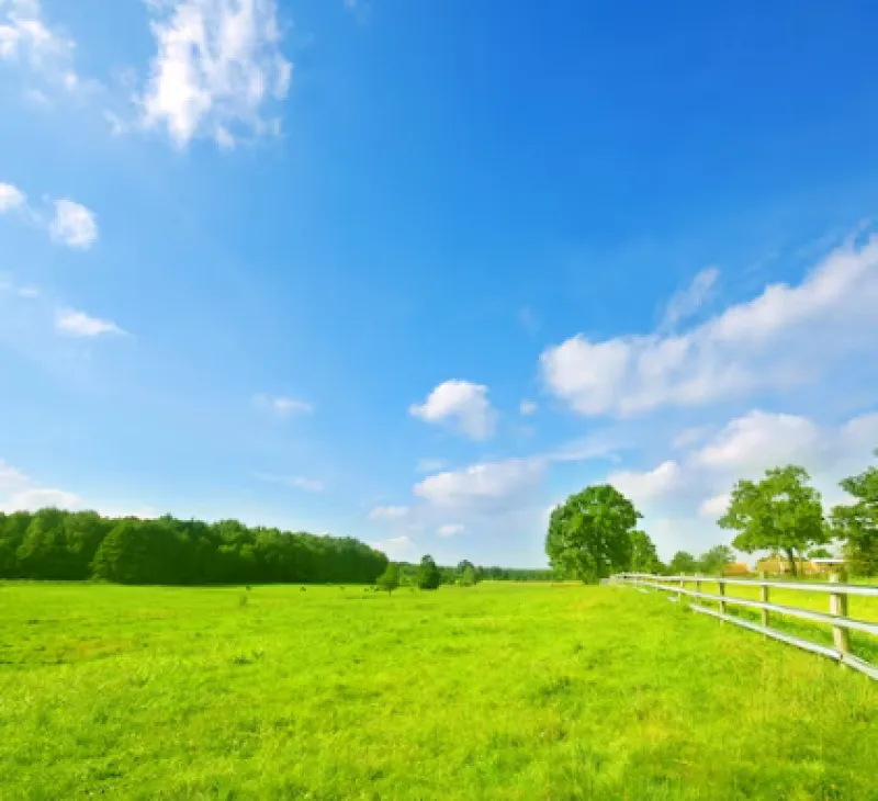 Rua Endereço somente para premium, N°0