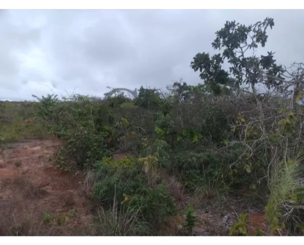 Rua Endereço somente para premium, N°0