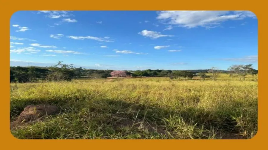 Rua Endereço somente para premium, N°0