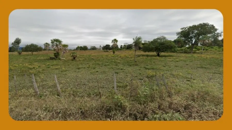 Rua Endereço somente para premium, N°0