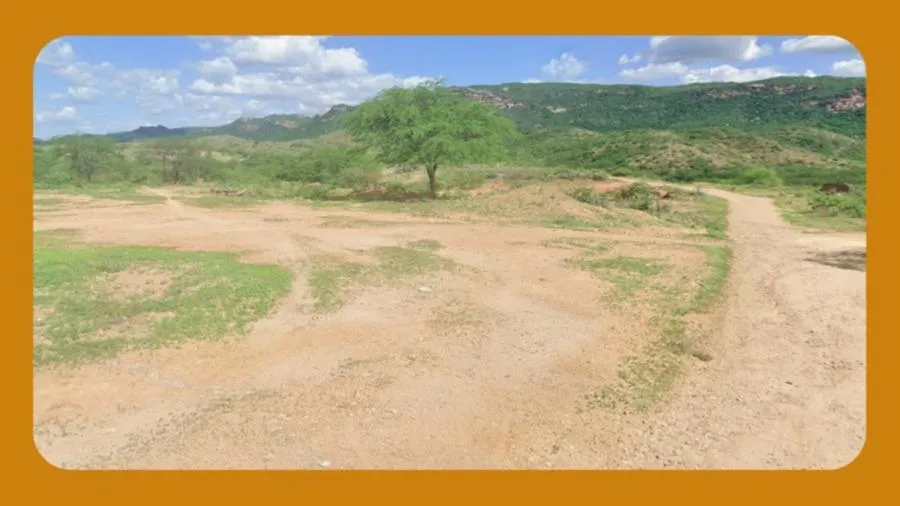 Rua Endereço somente para premium, N°0