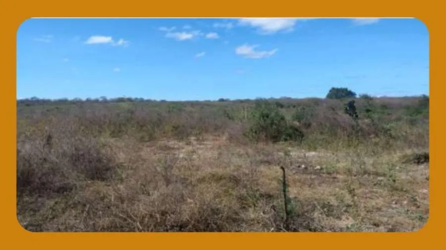 Rua Endereço somente para premium, N°0