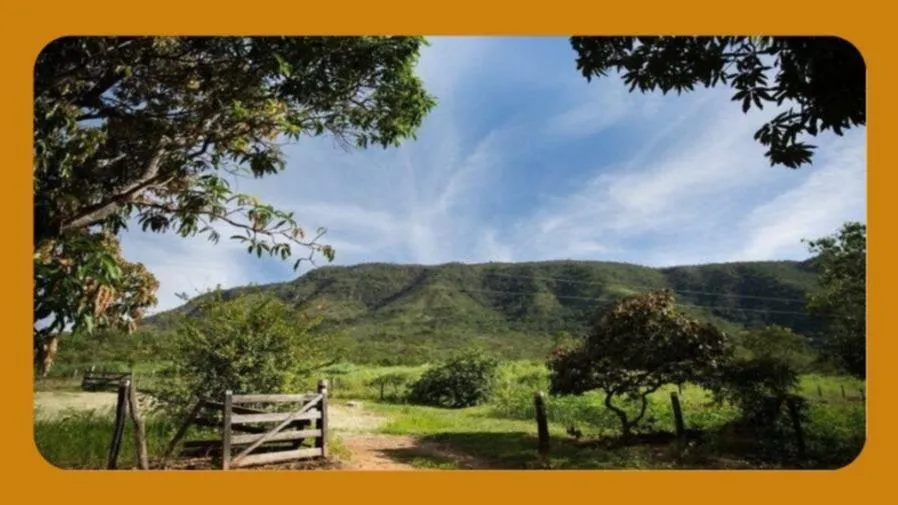 Rua Endereço somente para premium, N°0