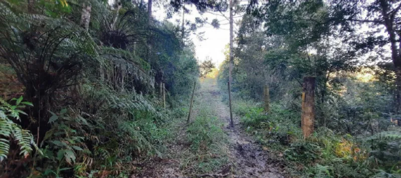 Rua Endereço somente para premium, N°0