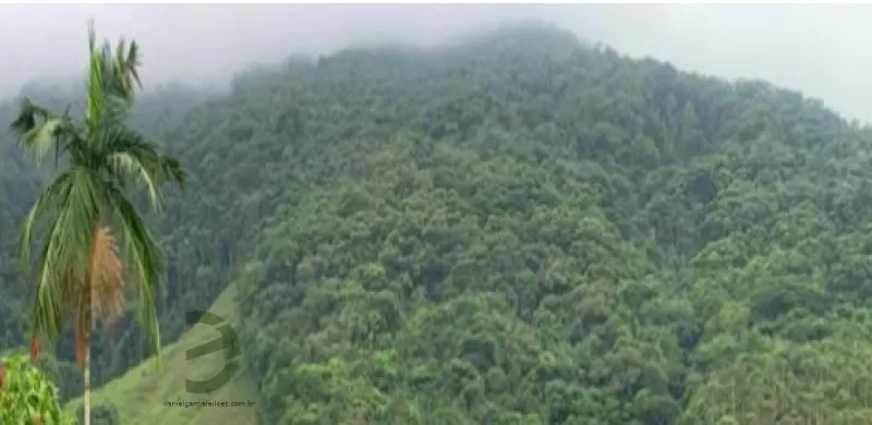 Rua Endereço somente para premium, N°0