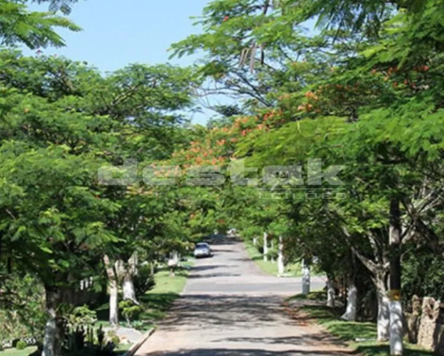 Rua Endereço somente para premium, N°0