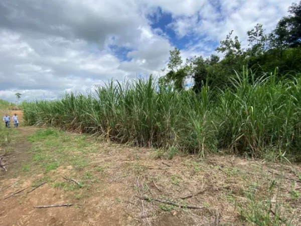 Rua Endereço somente para premium, N°0