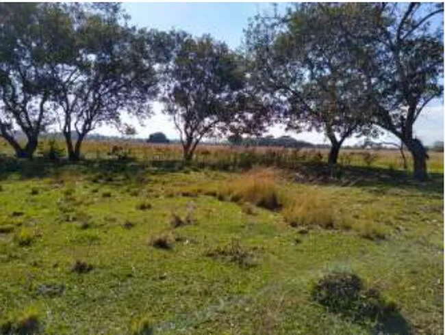 Rua Endereço somente para premium, N°0