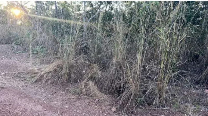 Rua Endereço somente para premium, N°0