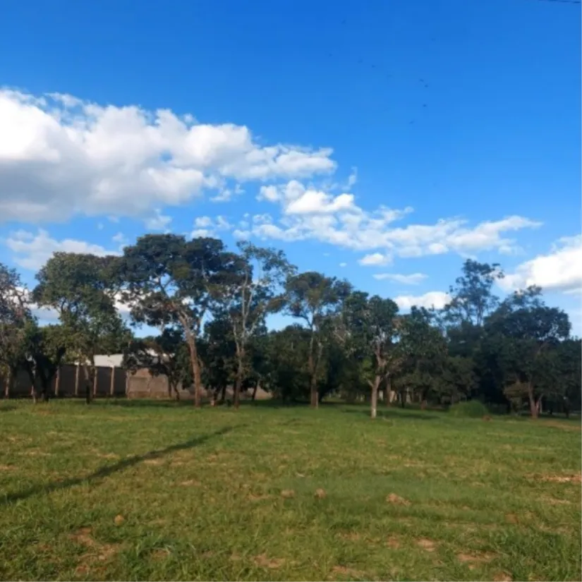 Rua Endereço somente para premium, N°0