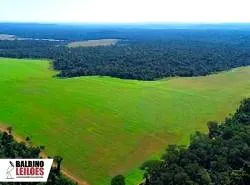 RUA PROFESSORA TEREZA LOBO, 319