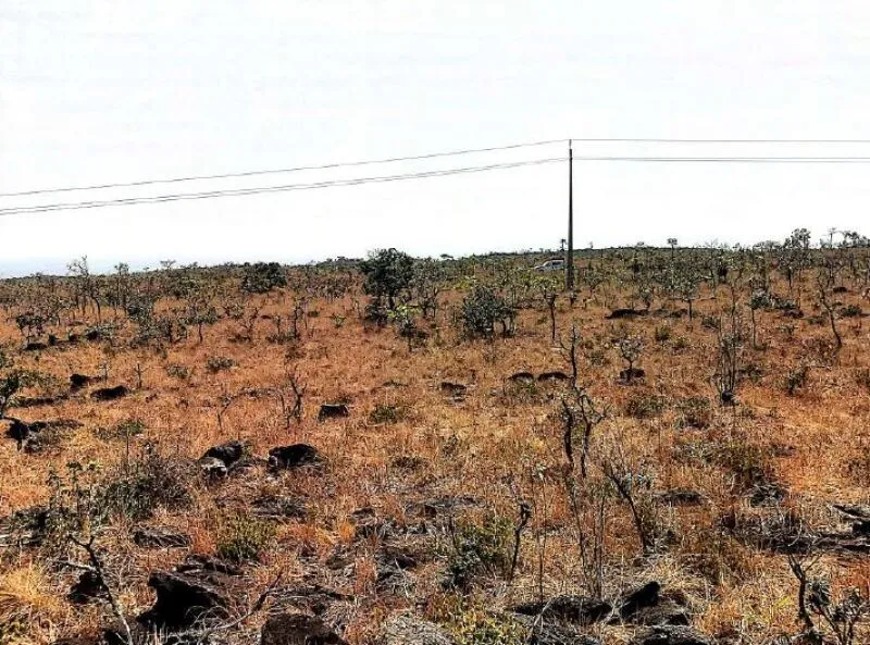 Rua Endereço somente para premium, N°0