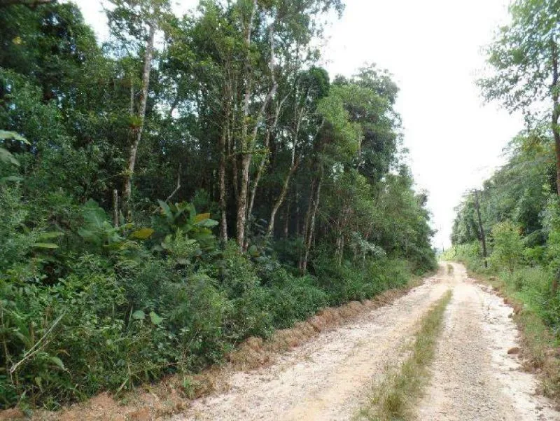 Rua Endereço somente para premium, N°0