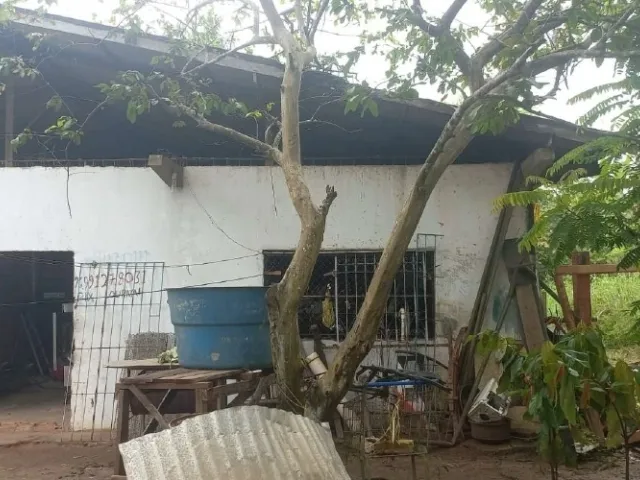 Rua Endereço somente para premium, N°0