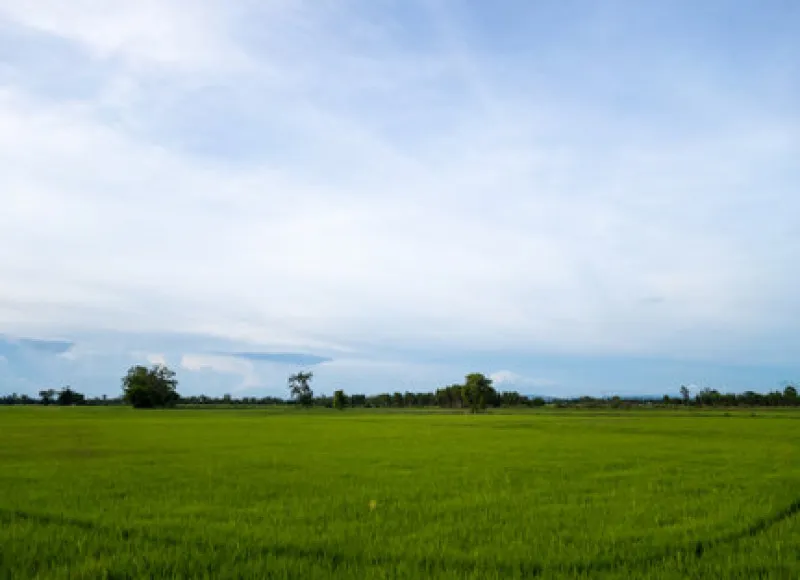 Rua Endereço somente para premium, N°0
