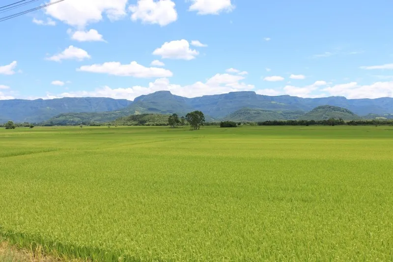 Rua Endereço somente para premium, N°0