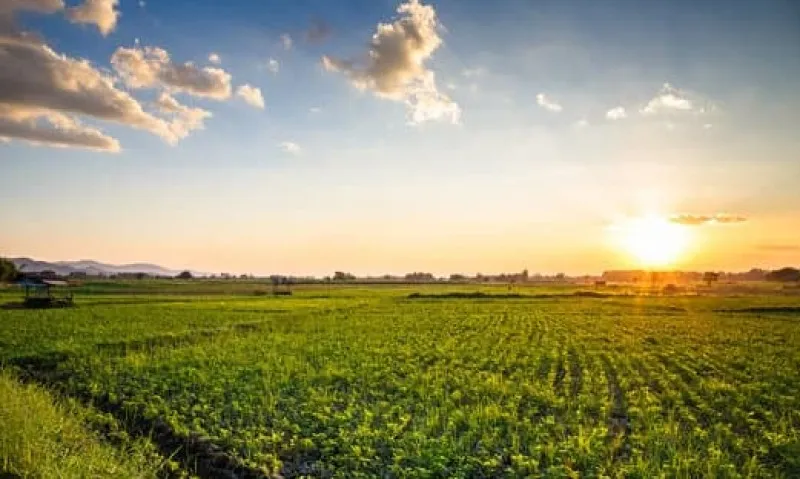 Rua Endereço somente para premium, N°0