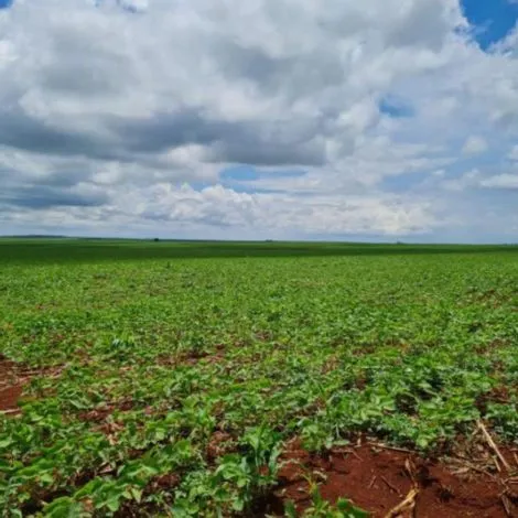 ASSIS CHATEAUBRIAND, PR