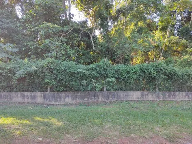 Rua Endereço somente para premium, N°0