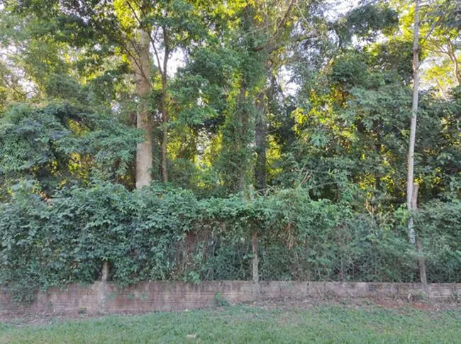 Rua Endereço somente para premium, N°0