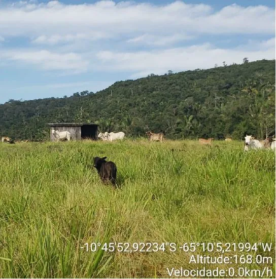 Rua Endereço somente para premium, N°0