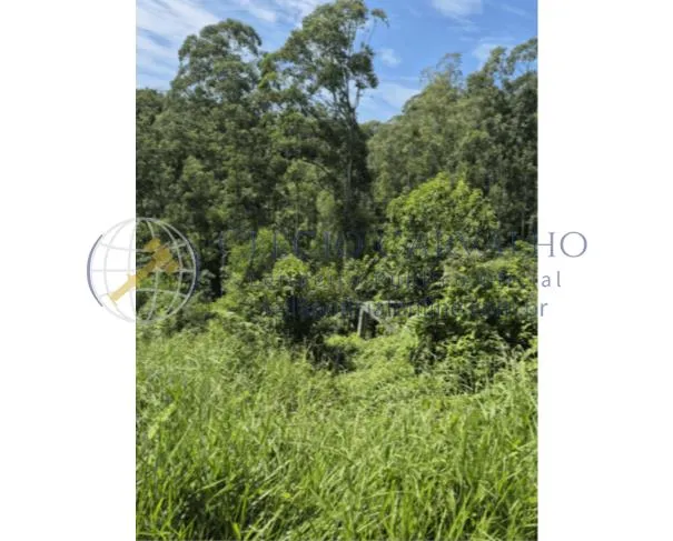 Rua Endereço somente para premium, N°0