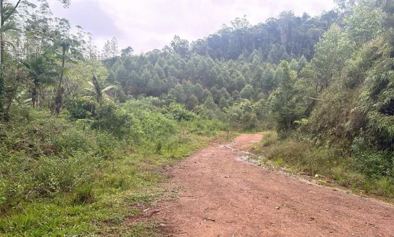 RIBEIRÃO DO COCHO, S/N, RIBEIRÃO DO COCHO