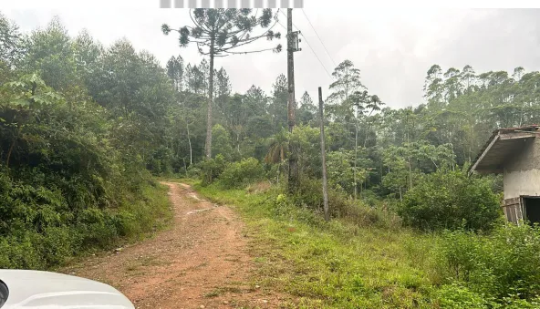 RIBEIRÃO DO COCHO, S/N, RIBEIRÃO DO COCHO