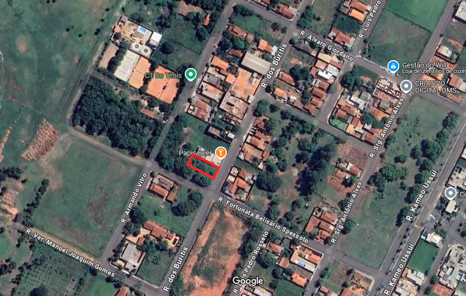 RUA DOS BURITIS (LOTE 21, QUADRA 08), S/N, JARDIM PINHEIROS