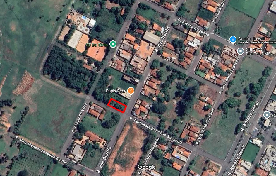 R. DOS BURITÍS (LOTE 20, QUADRA 08), S/N, JARDIM PINHEIROS