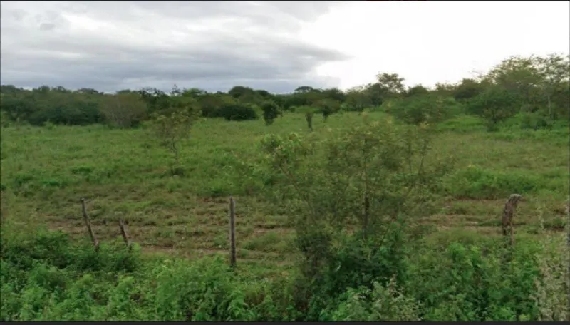 Rua Endereço somente para premium, N°0