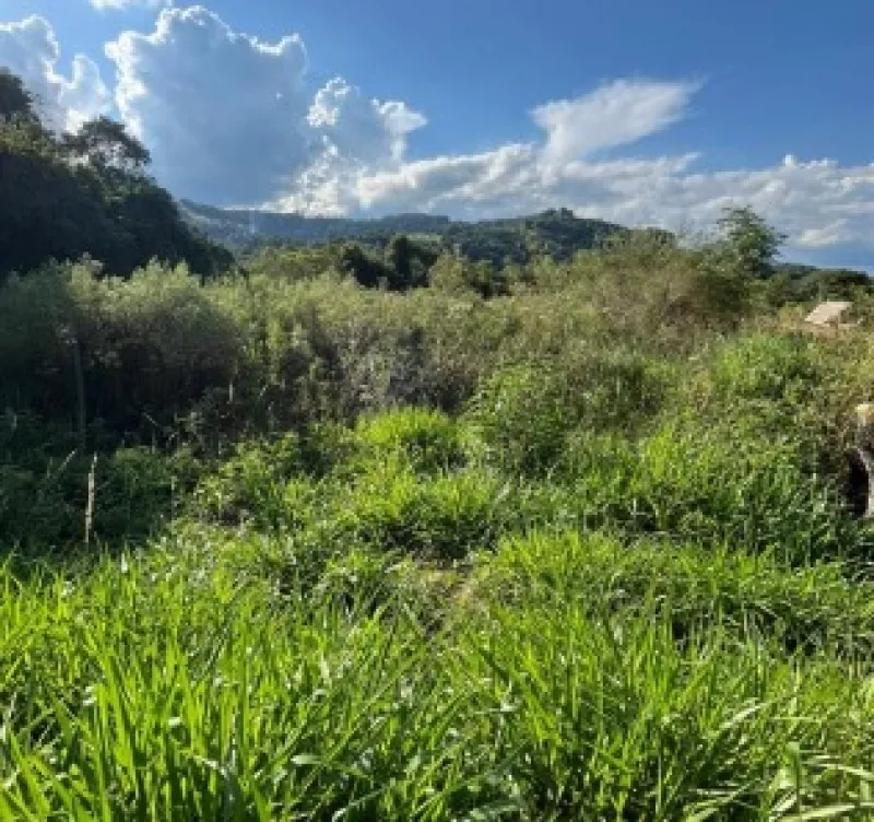 Rua Endereço somente para premium, N°0