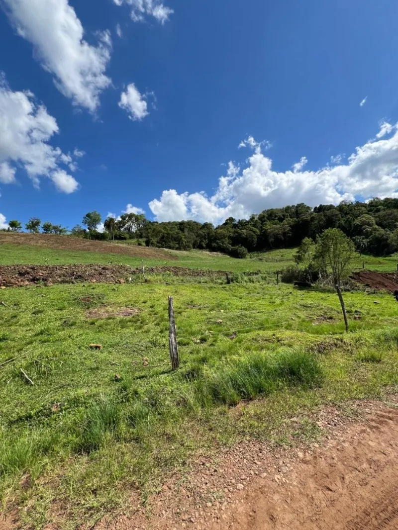 Rua Endereço somente para premium, N°0