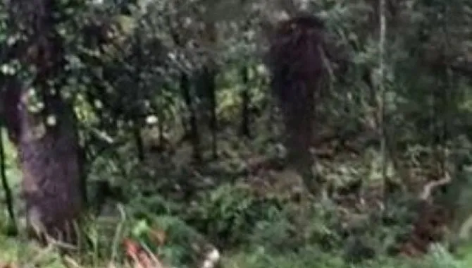 Rua Endereço somente para premium, N°0